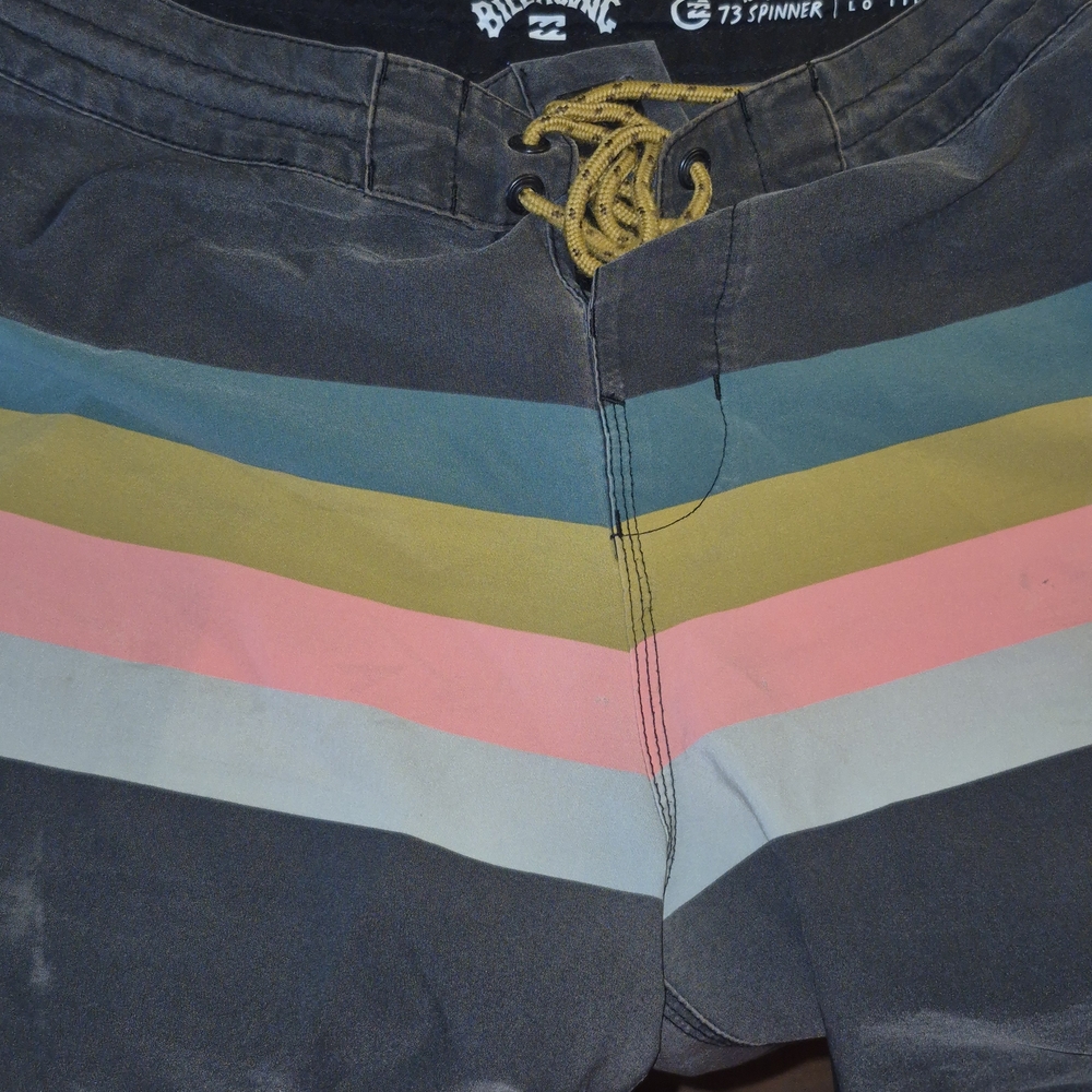 Billabong Multicolor Striped Board Shorts
